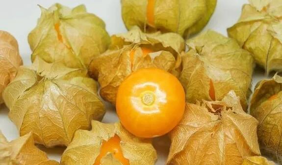 農(nóng)村小伙種植姑娘果 年收入50萬(wàn)成功逆襲！